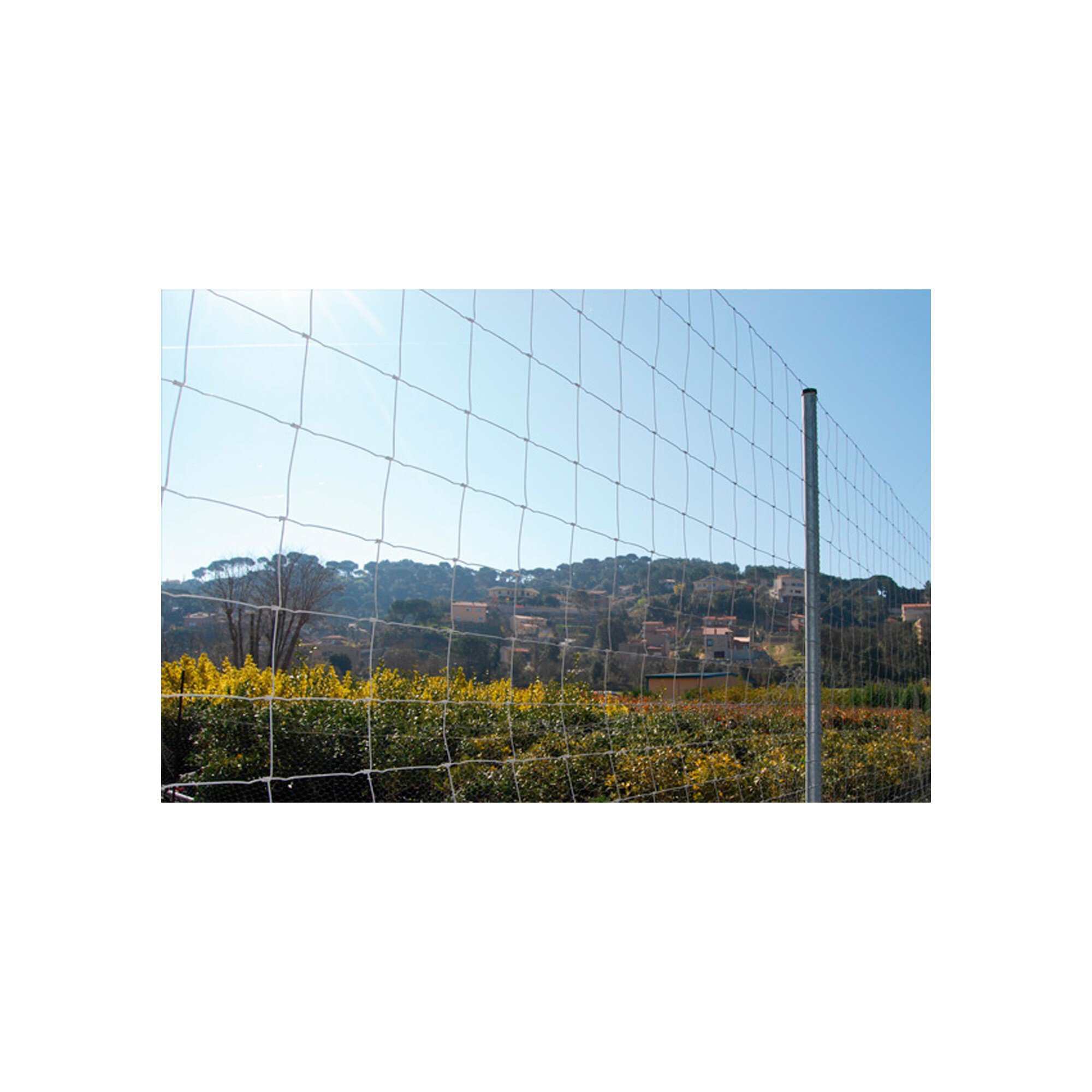Rollo malla anudada Rivisa 1x50m 08/15